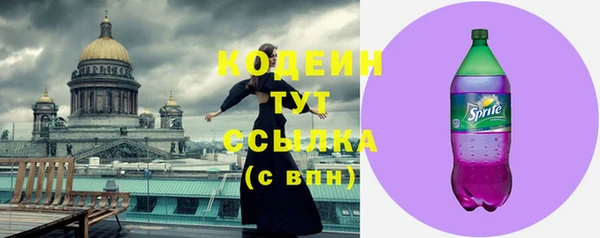 ГАЛЛЮЦИНОГЕННЫЕ ГРИБЫ Кулебаки