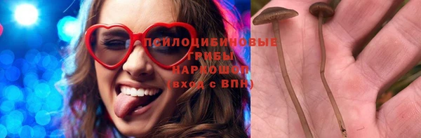 ГАЛЛЮЦИНОГЕННЫЕ ГРИБЫ Кулебаки