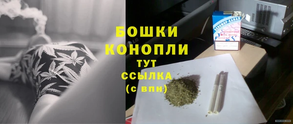 сатива Кукмор