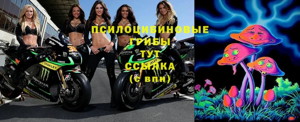 ГАЛЛЮЦИНОГЕННЫЕ ГРИБЫ Кулебаки