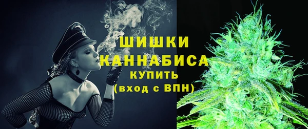 ГАЛЛЮЦИНОГЕННЫЕ ГРИБЫ Кулебаки