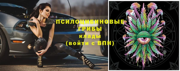 сатива Кукмор