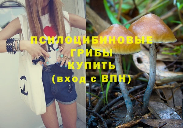 сатива Кукмор