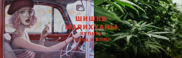 сатива Кукмор